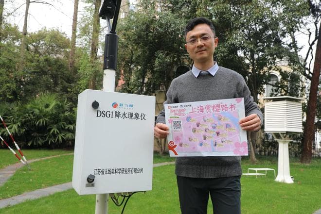 清明赏花正当时，上海市气象局联手大众点评实时播报“赏花情报”