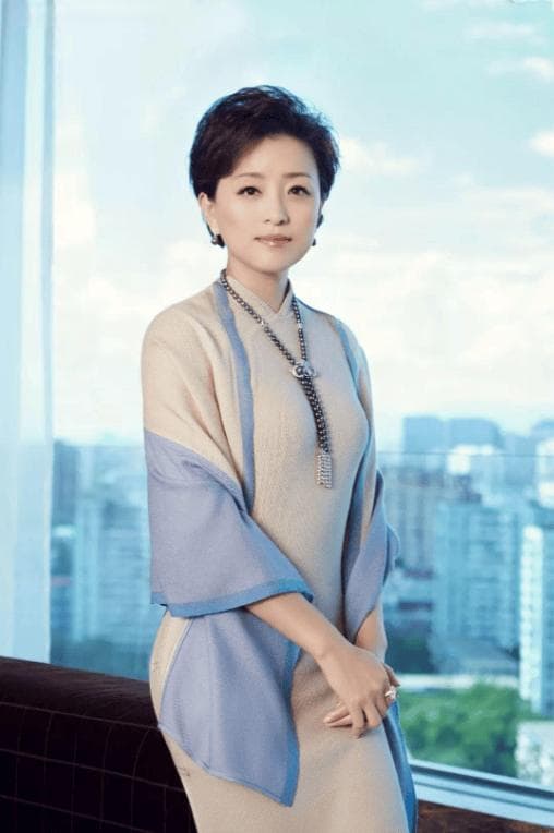 杨澜：为200斤百亿富豪与丈夫离婚，赴美多年如今现状如何