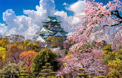 日本留学费用一年多少人民币？2025年最新费用解析