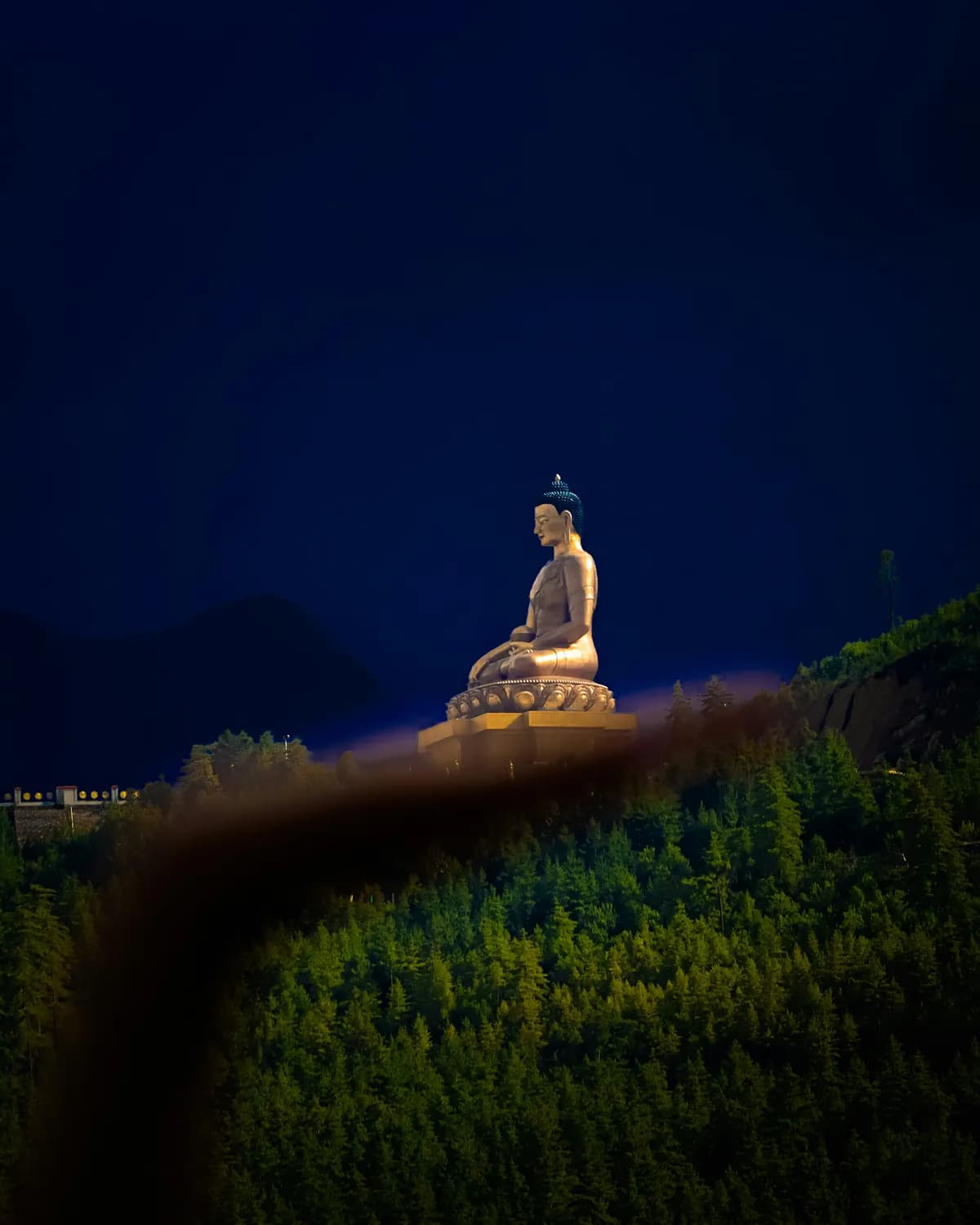 东林大佛打卡秘籍：拍出绝美大片