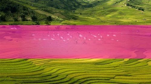 探索海南风情：赶海之旅体验海岛独特魅力