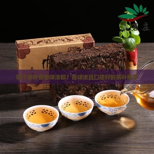 哪个茶叶香香味浓郁？香味浓且口感好的茶叶推荐
