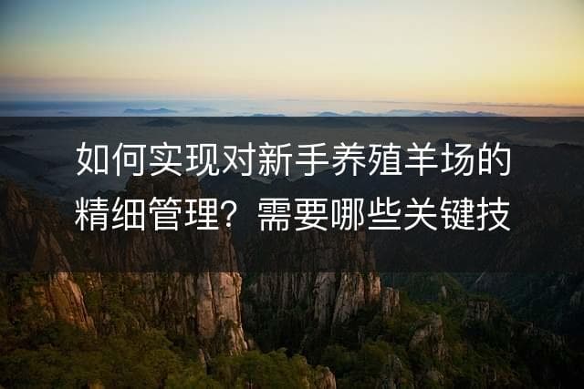 如何实现对新手养殖羊场的精细管理？需要哪些关键技巧和措施？