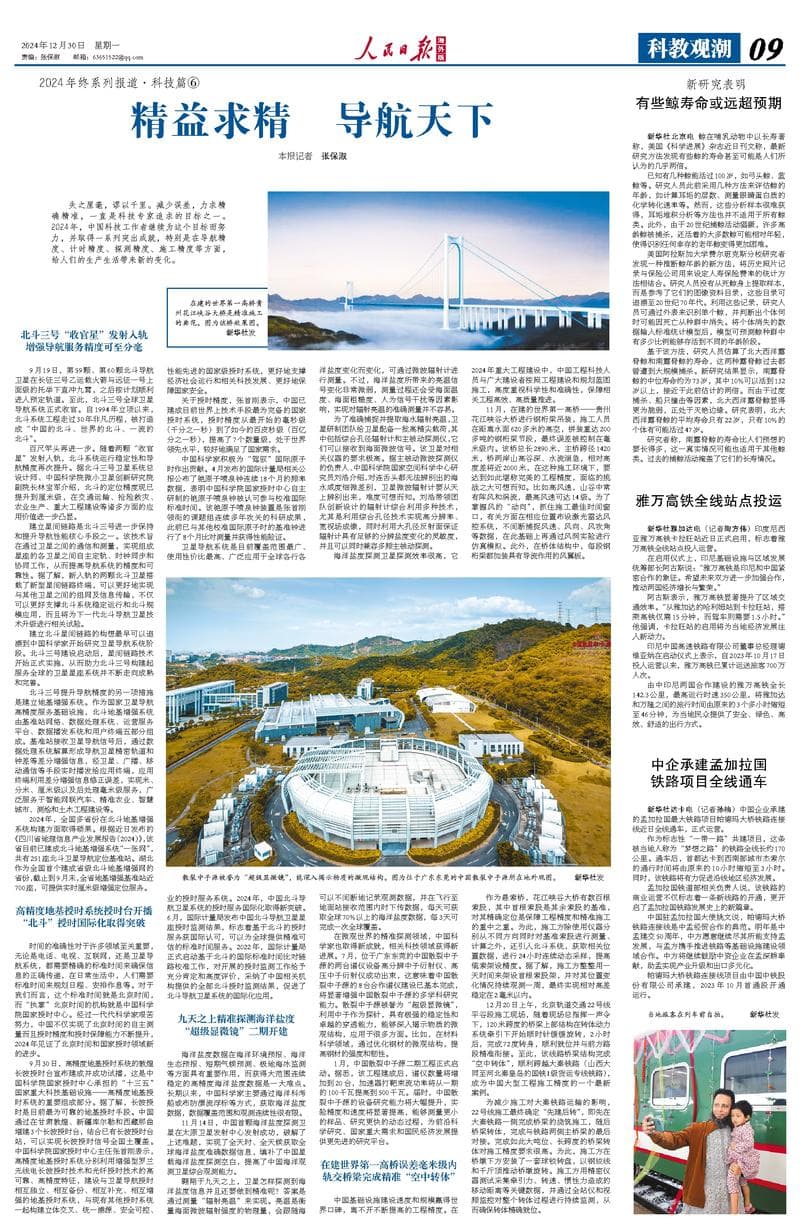 新研究揭示：某些鲸类寿命或远超预期