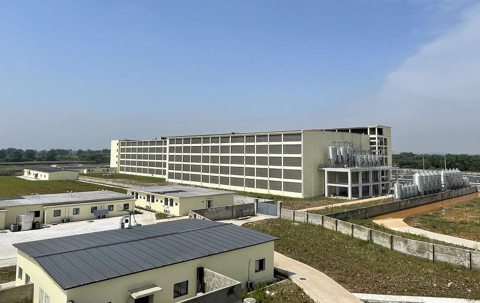 供应宽松预期主导 2025年生猪价格中枢同比或有所下移
