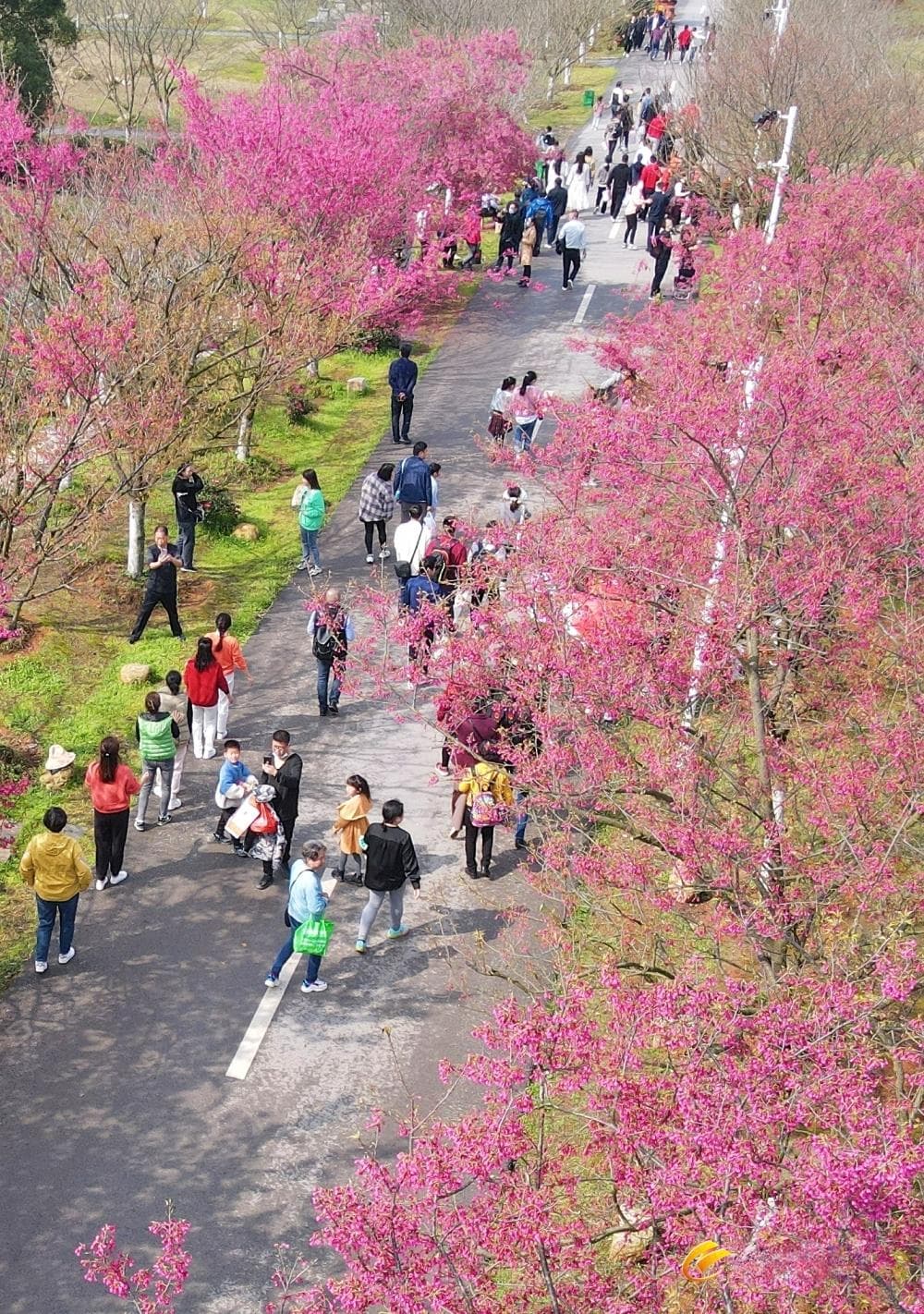 南昌六条乡村民宿旅居线路邀您体验