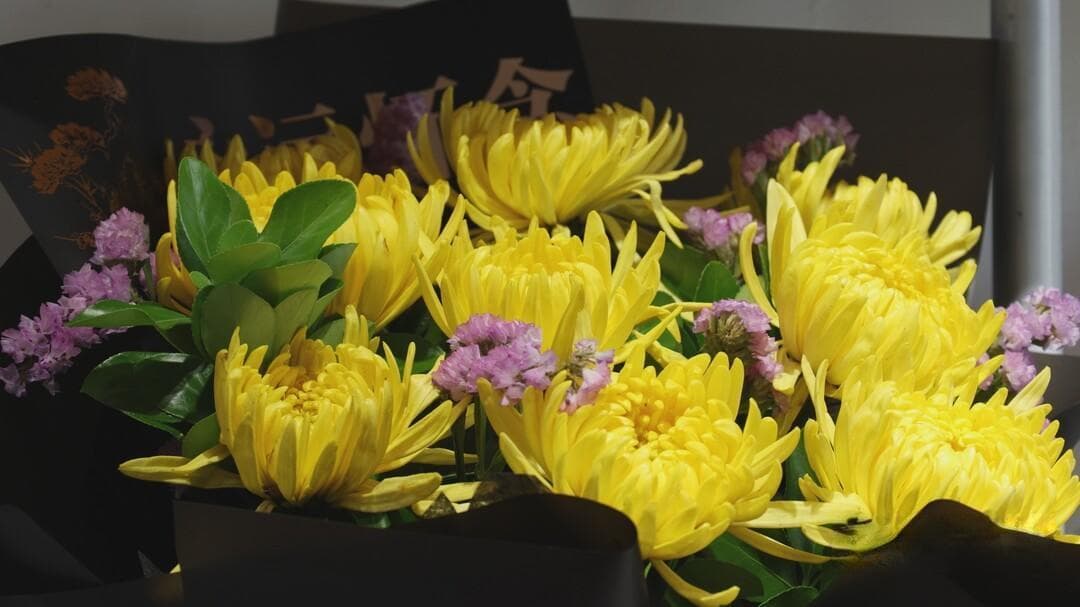 我们的节日·清明 | 清明鲜花寄哀思  文明祭祀入人心