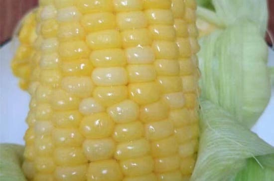 黑玉米是转基因食品吗？一文详解黑玉米的营养价值与功效