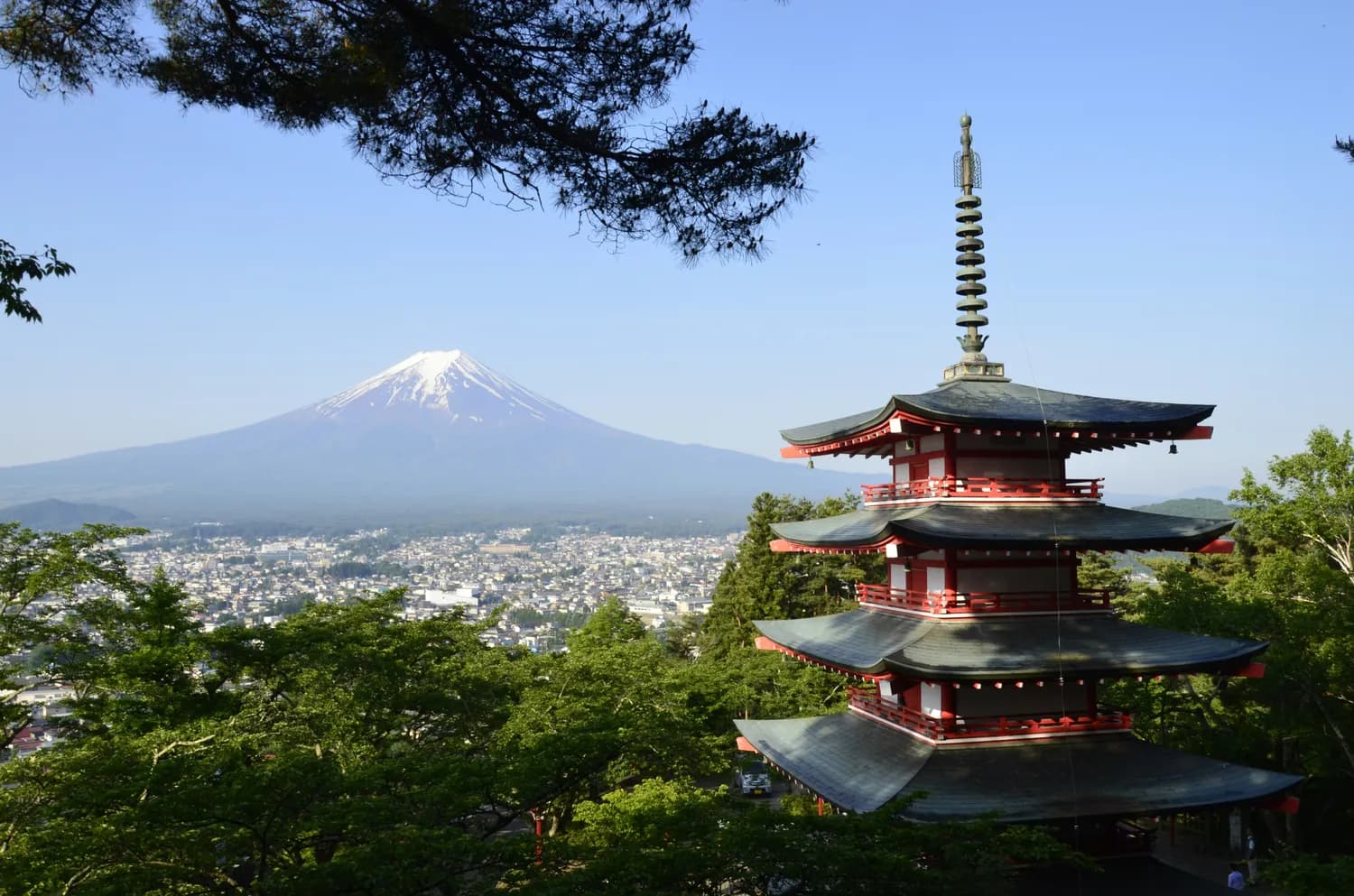 富士山G线：网红打卡一日游