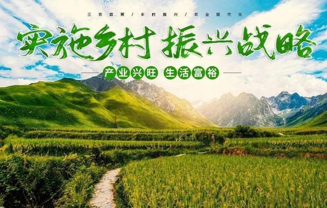 乡村发展实用方法探索