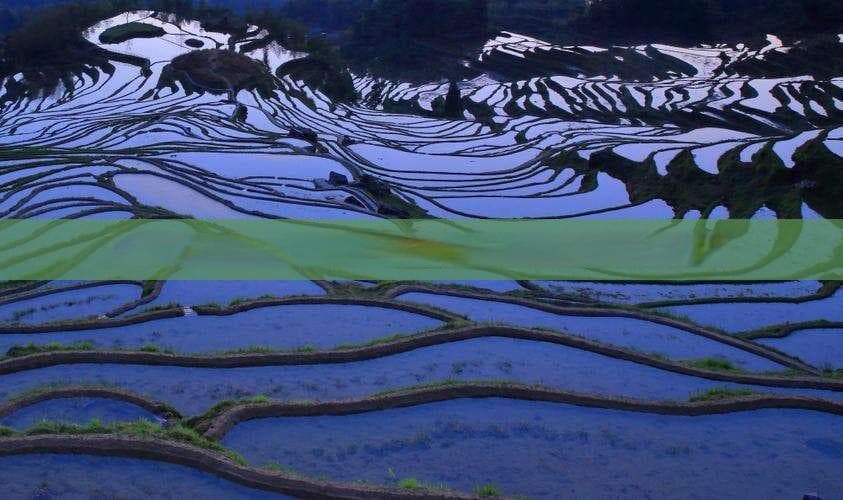 昆明高颜值拍照打卡地全攻略：从滇池到植物园