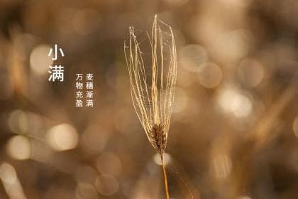 十二生肖合作配对的动物是什么 12生肖合配