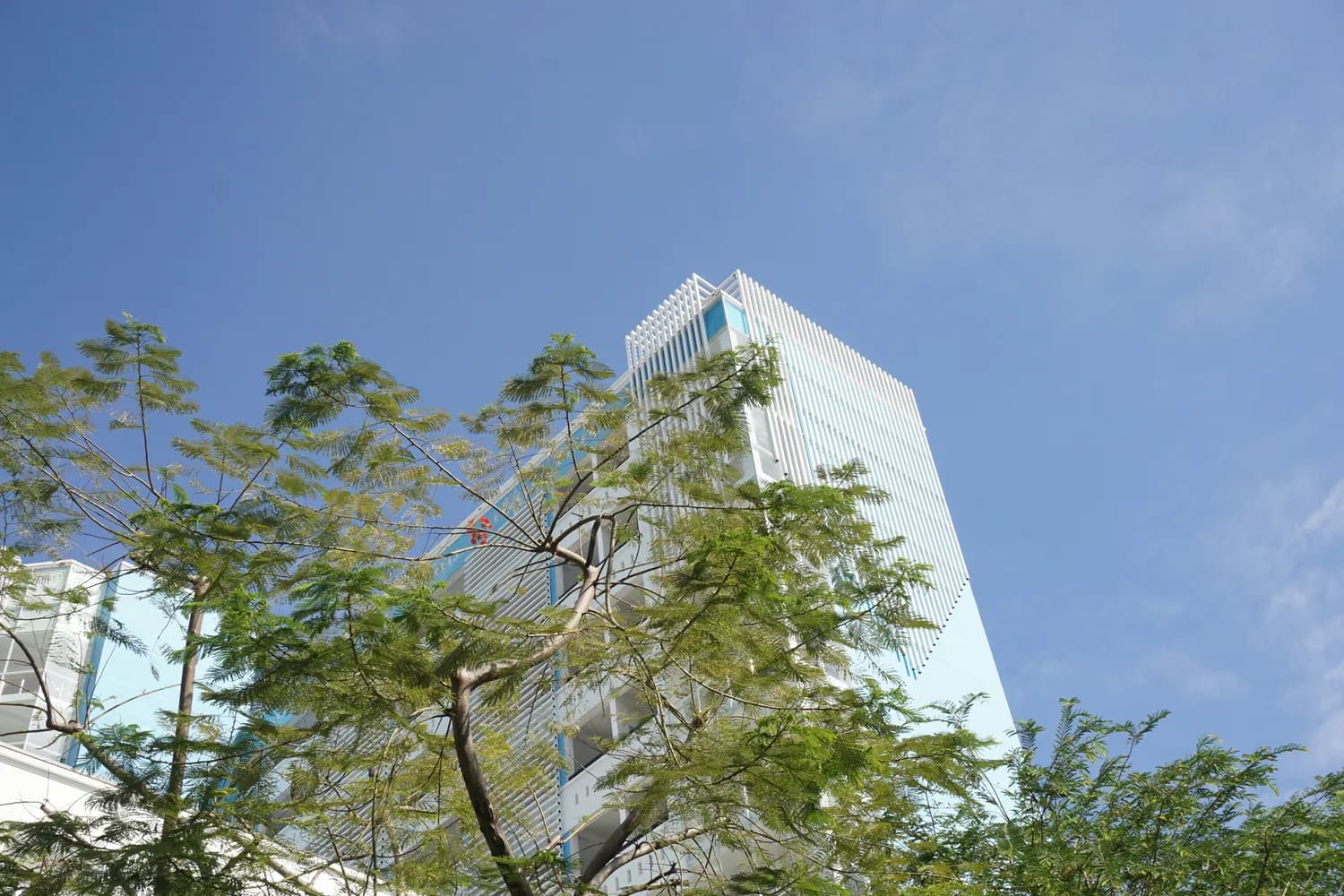 新鸿基股权生变：郭炳湘被排除，两弟平分家产