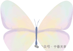 偈语的奥秘：佛教智慧的韵律传承