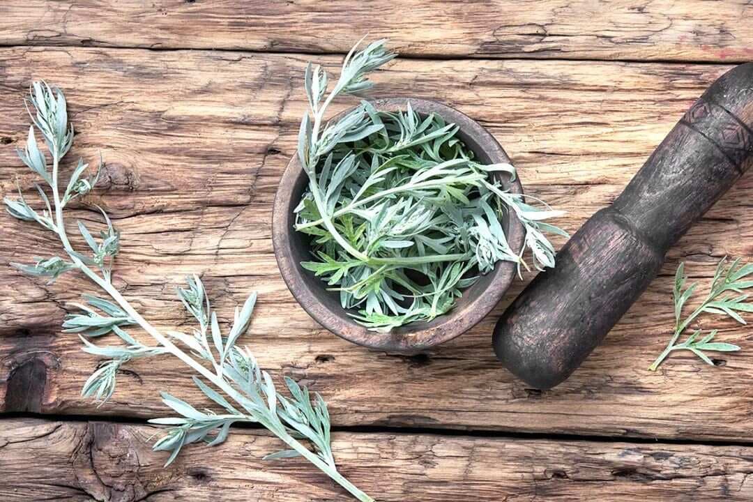 如何科学艾灸？春季艾灸穴位怎么选？