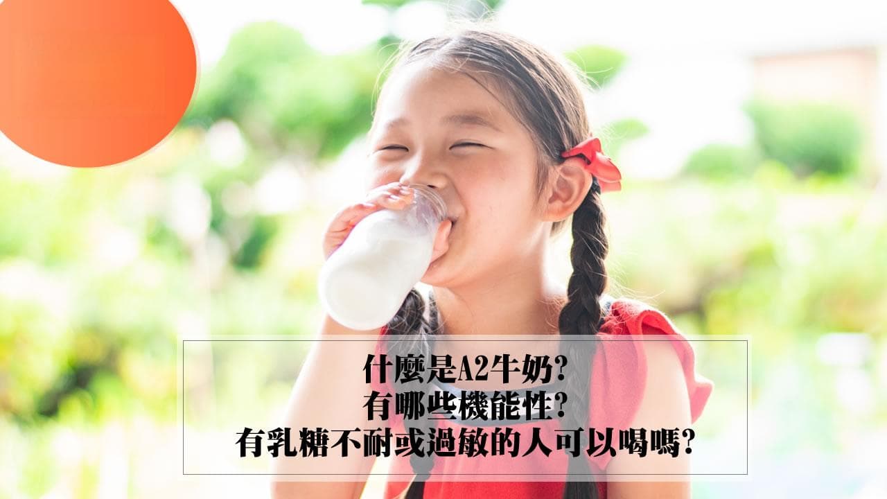 A2牛奶：不含BCM-7，专为乳糖不耐人群设计