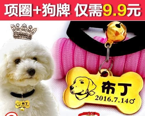 家养狗狗需要领狗牌吗？不领会有什么后果？