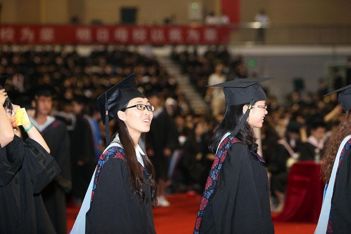 本科生：学历的起点还是跳板？深度解析本科教育的价值与意义