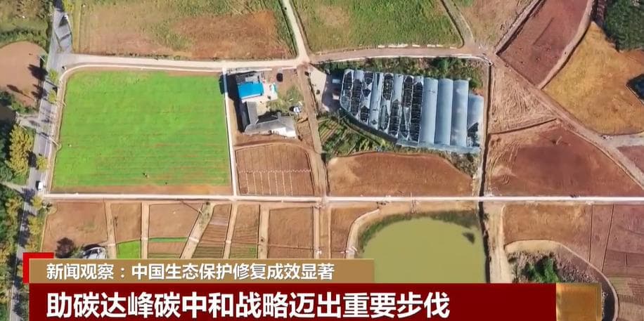 中国生态保护修复成效显著：红树林面积增长，生态安全屏障筑牢
