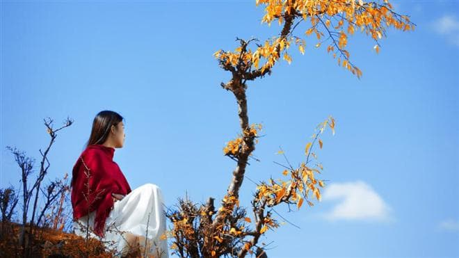 持续幸福！探索七项【婚姻长跑】的成功秘诀