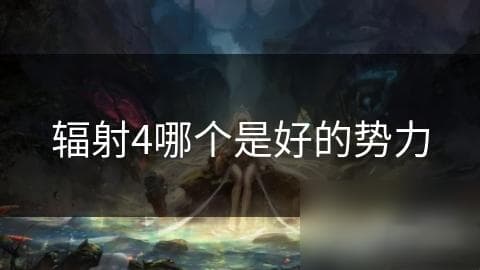 辐射4哪个是好的势力