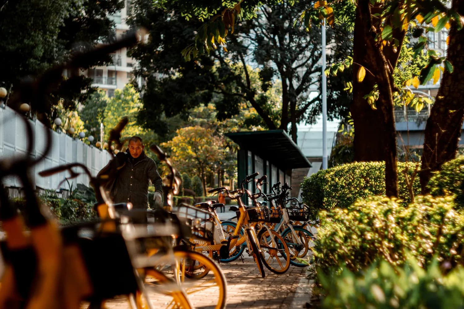 广州规划520公里山海骑行道，串联多个区的景点和风貌资源点