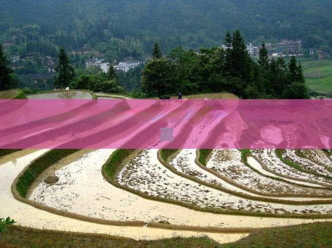 大理至丽江：洱海玉龙雪山精华游全程指南
