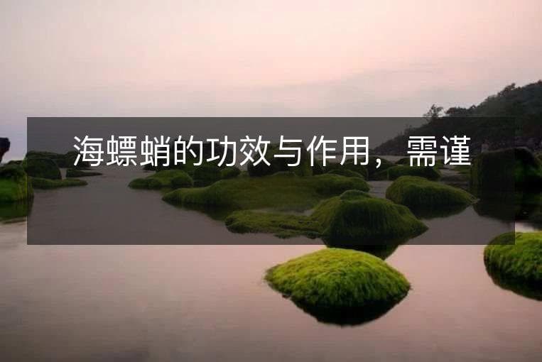 海螵蛸的功效与作用，需谨慎食用