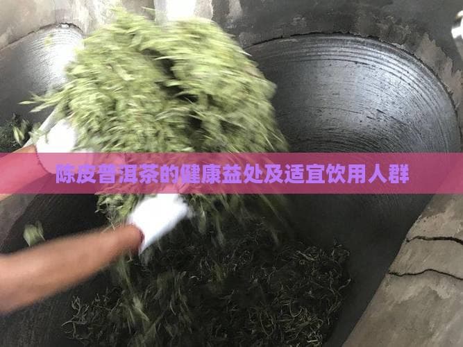 陈皮普洱茶的健康益处及适宜饮用人群