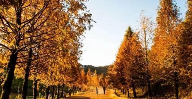 超全攻略！长沙周边5条爬山线路，吃、住、玩全部安排！