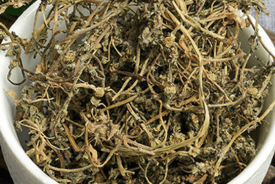 鹅不食草治疗鼻炎的三种偏方