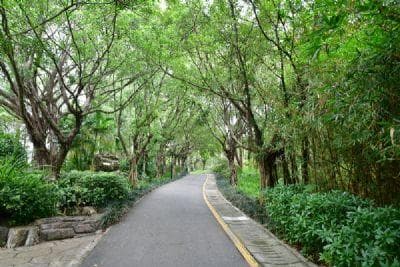苍溪县十大旅游景点