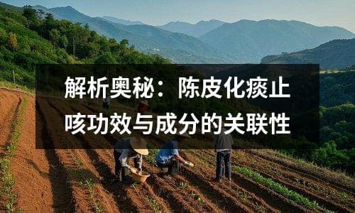解析奥秘：陈皮化痰止咳功效与成分的关联性