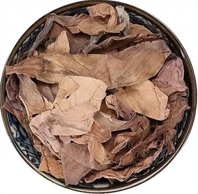 一莲出九药，全身皆宝的自然馈赠！