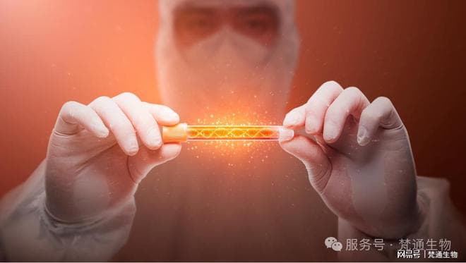 摒弃消毒剂轮换旧观念，做好消毒方法策略