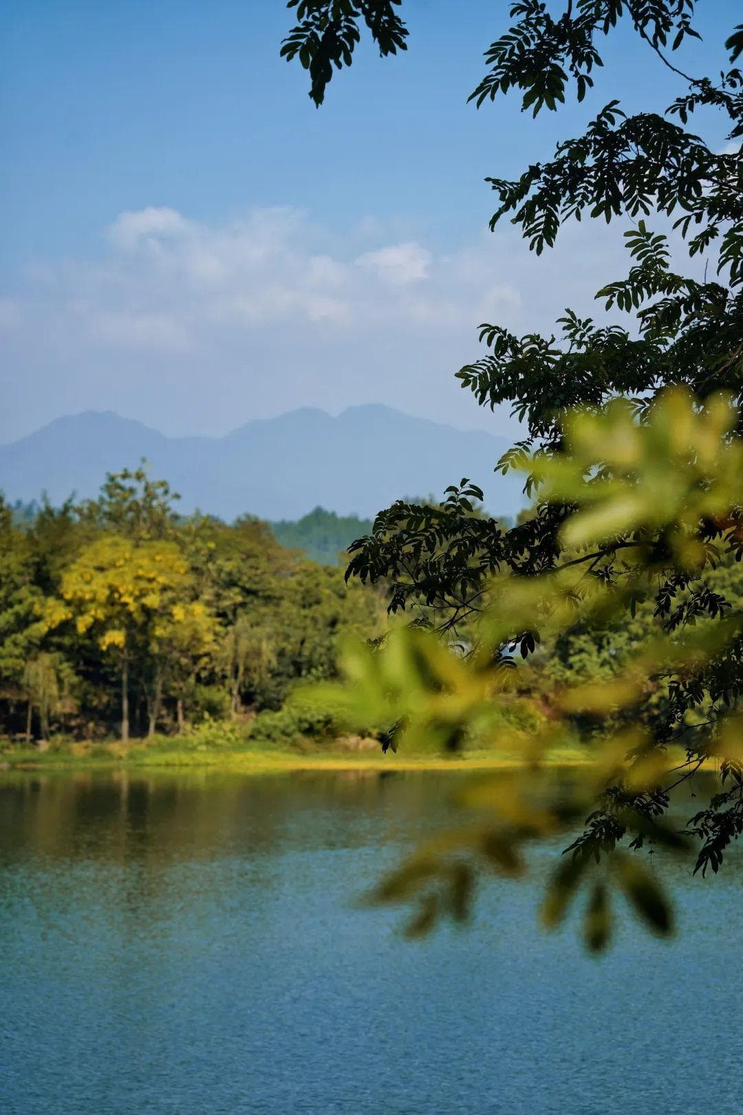 冬游浙丽：去松阳觅甜之旅