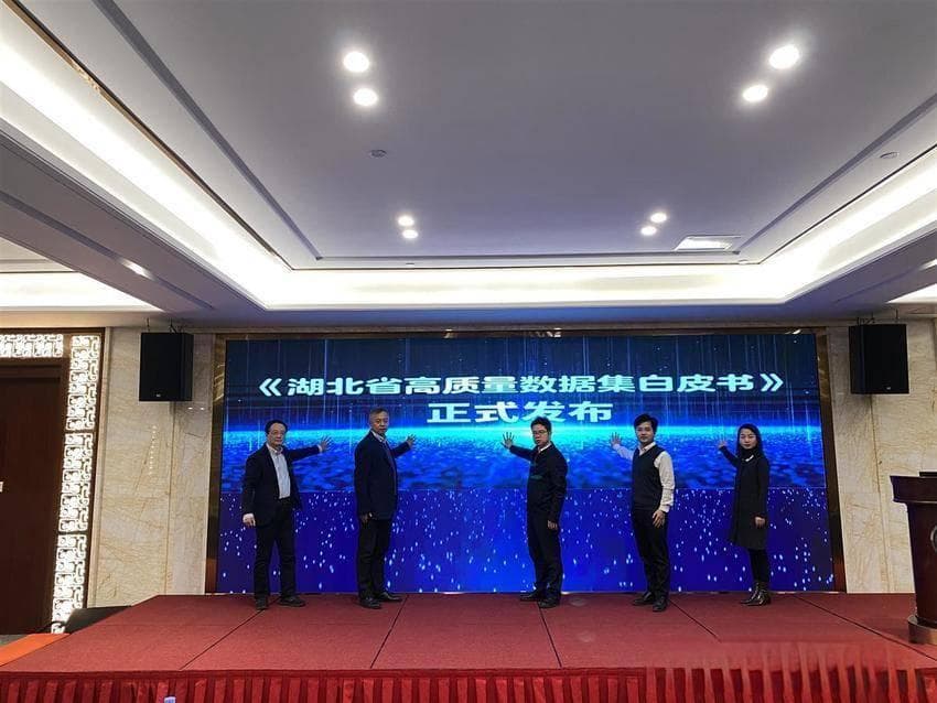 像电商直播一样，数据也要“选品”！高质量数据集破解AI“胡说八道”