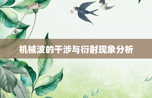 机械波的干涉与衍射现象分析