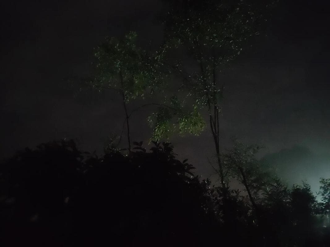 抖音热门歌曲《求佛》：当月光洒在我脸上，探寻求佛背后的深情故事与寓意