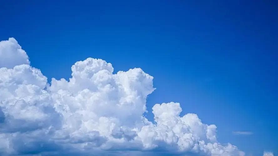职场高情商：掌握这些沟通技巧，赢得团队信任