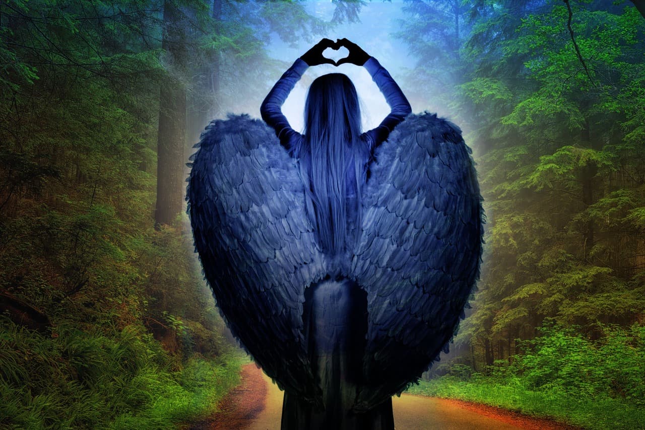 探索神秘世界，蛇类科普视频大全