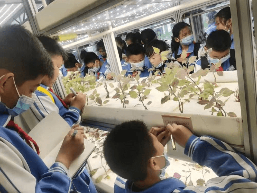 环境育心灵 实践促成长——济南市匡山小学生态文明教育纪实