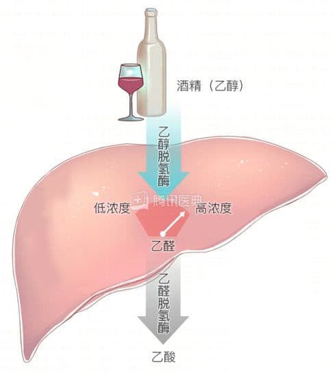 小小解酒药，真的能“化酒为水，边喝边解”吗？