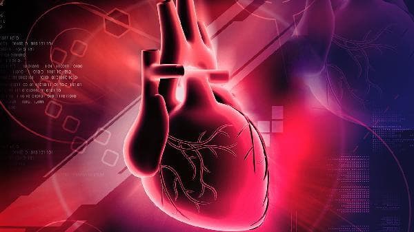 急性心肌炎的症状、诊断与治疗全解析
