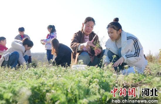 邯郸市丛台区开展春分主题活动感受传统文化