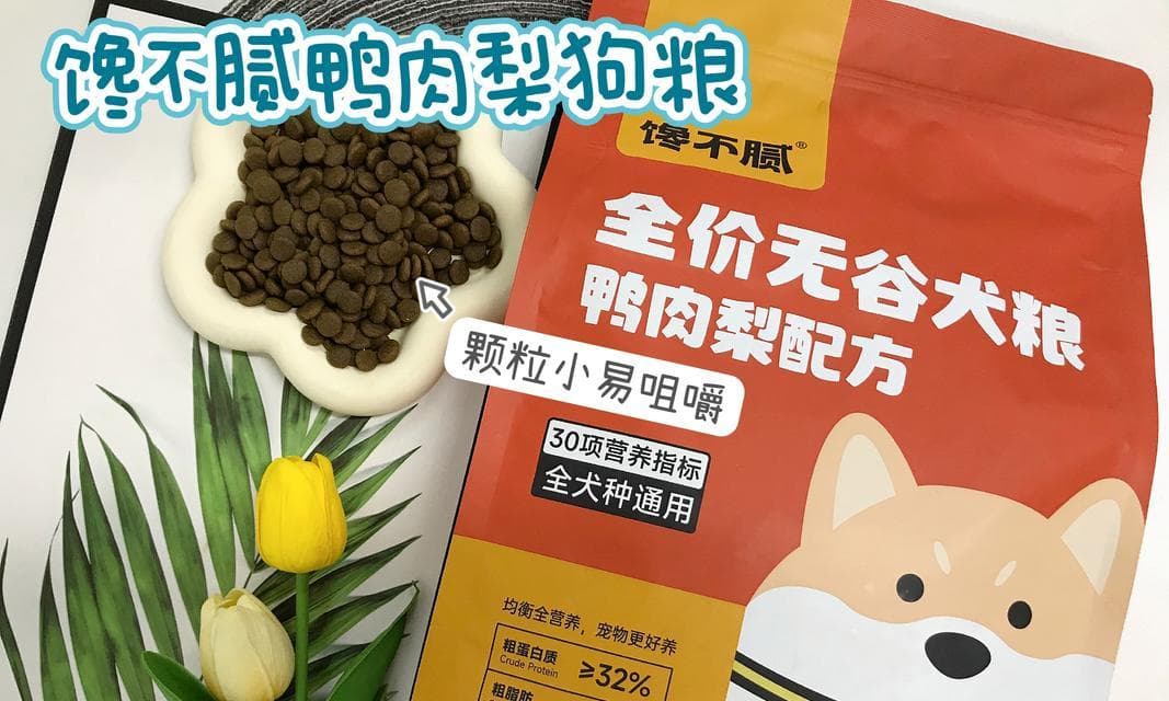 比熊幼犬换狗粮指南：注意事项与每日食量计算