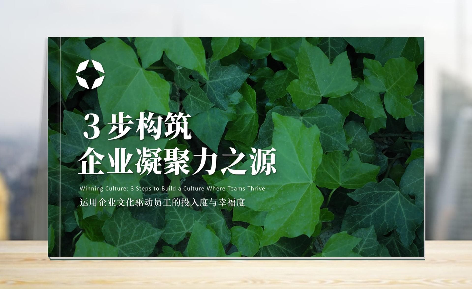 企业文化丨领导者不仅仅榜样，更是包容性企业文化的践行者