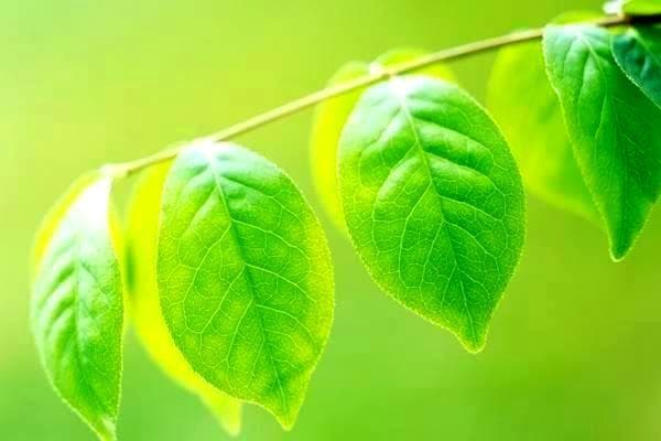 门窗选购指南：如何选择合适的门窗以及价格考量