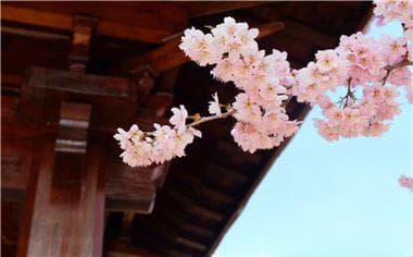 农村房屋拆迁赔偿的标准