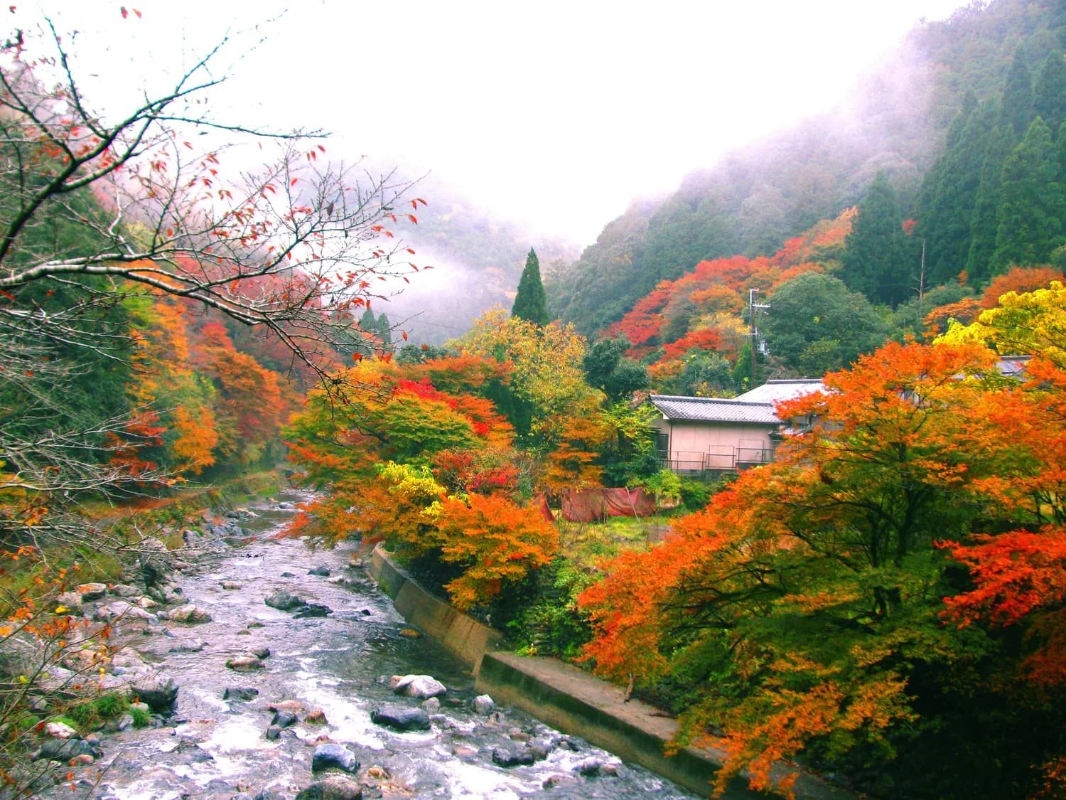 巫山红叶自驾游，打卡长江三峡最美风景